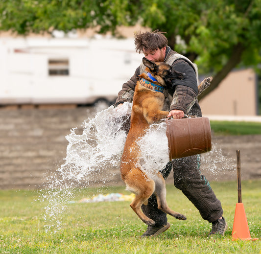 Protection Training